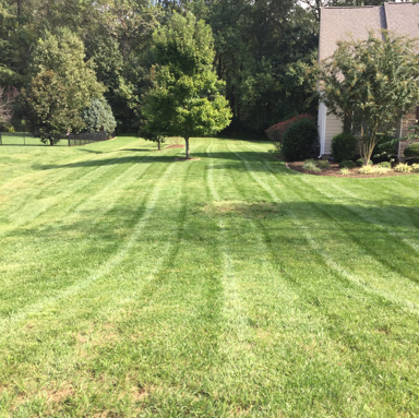 Lawn Service