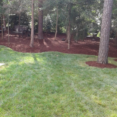 Mulch Service