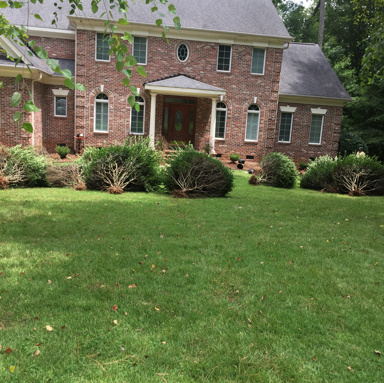 Lawn Service