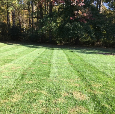 Lawn Service