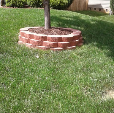 Lawn Service