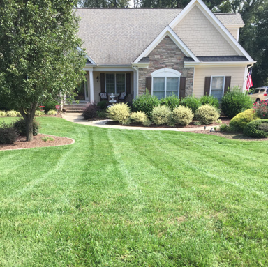 Lawn Service