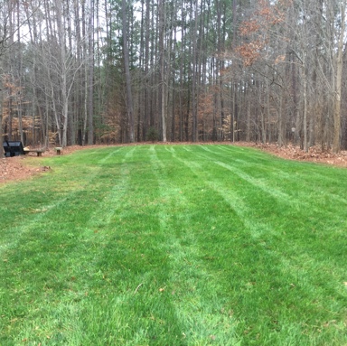 Lawn Service