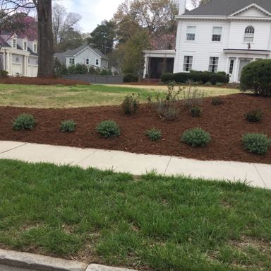 Mulch Service