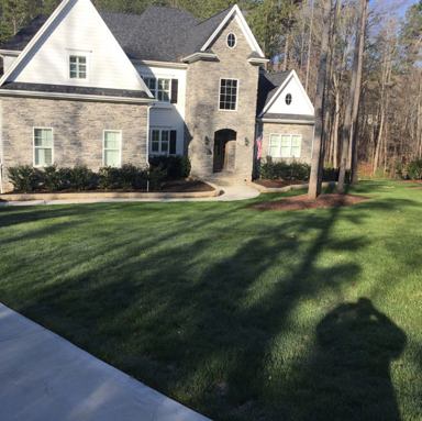 Lawn Service