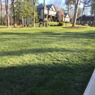 Lawn Service