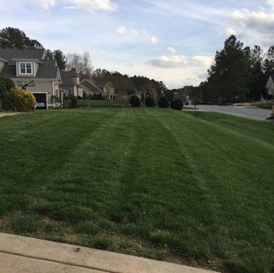 Lawn Service