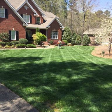 Lawn Service